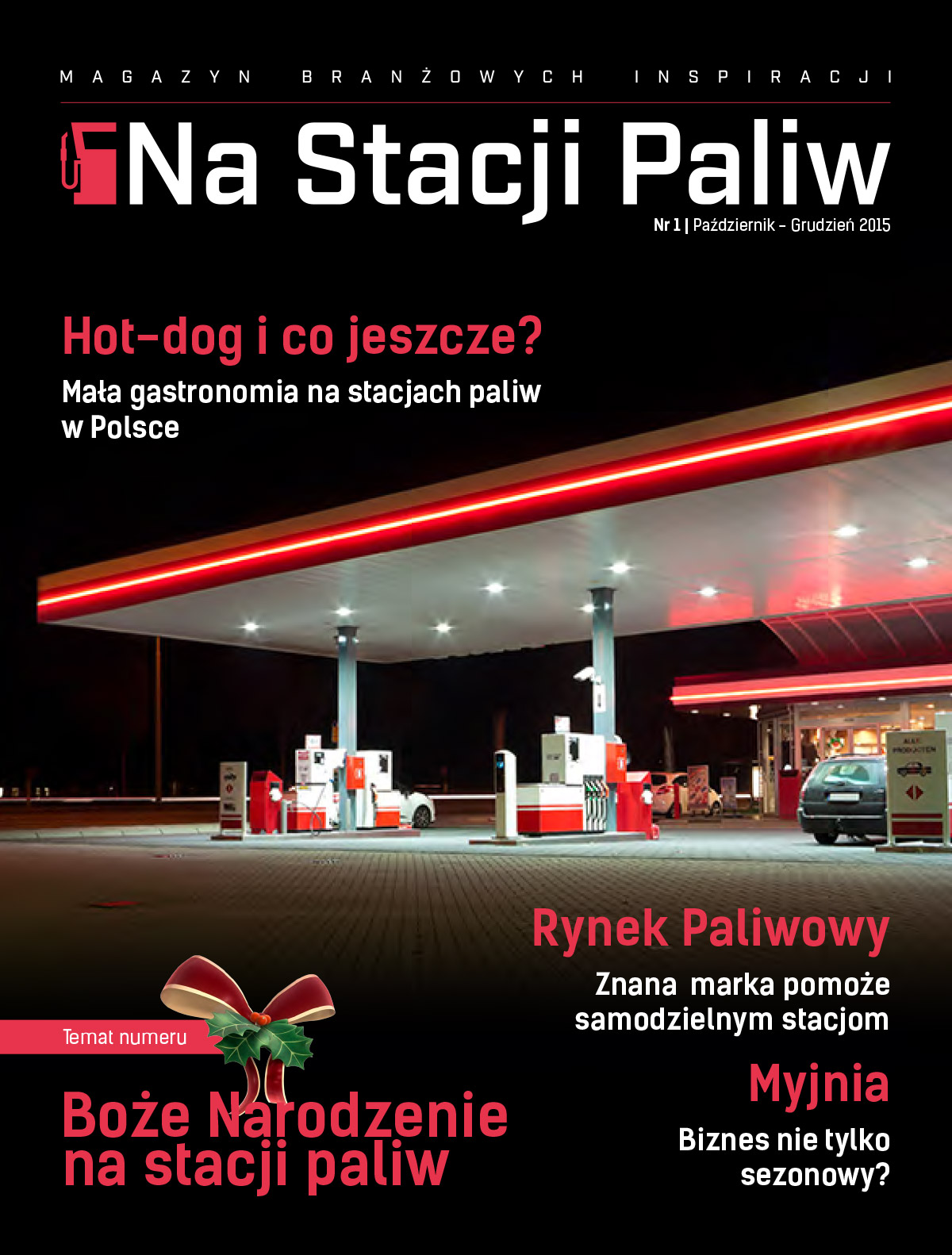Nr 1 - 10-12 2015 r.